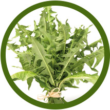 dandelion-greens-healthy-greens