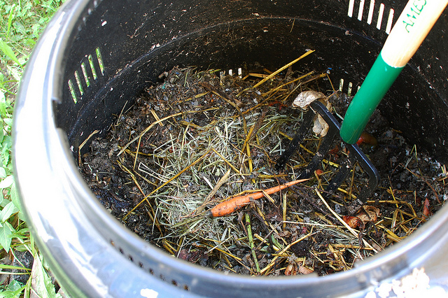 Compost Bin