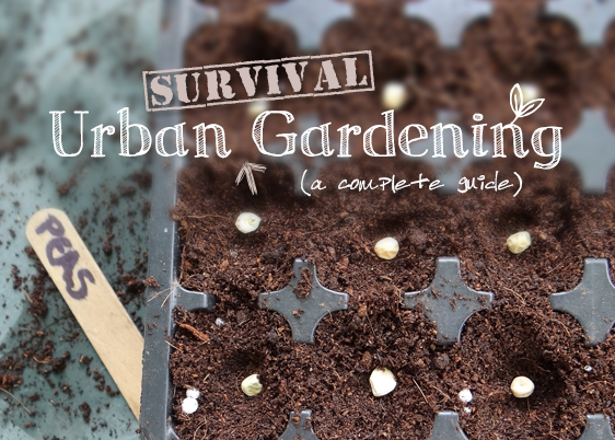 urbansurvivalgardening