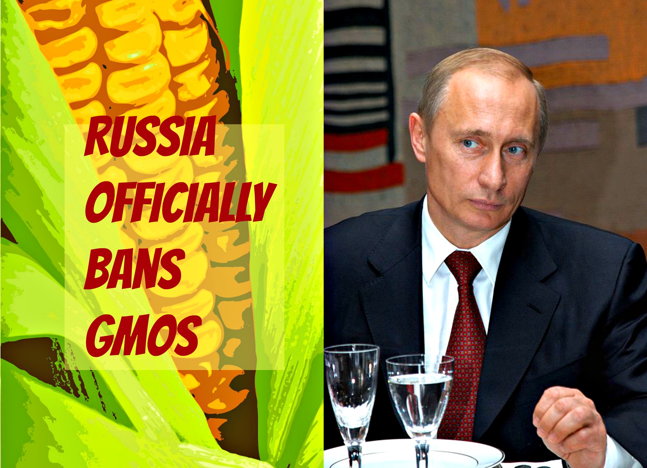 Russia bans gmos