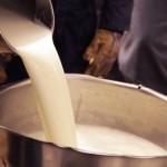 Research Proves Raw Milk Prevents Infections and Boosts Immunity