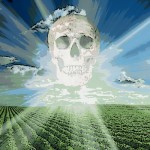 Monsanto’s New Illegal Poison Kills Neighbors’ Crops — EPA Does Nothing