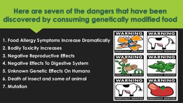 The Harm Negative Effects Of Genetically Modified