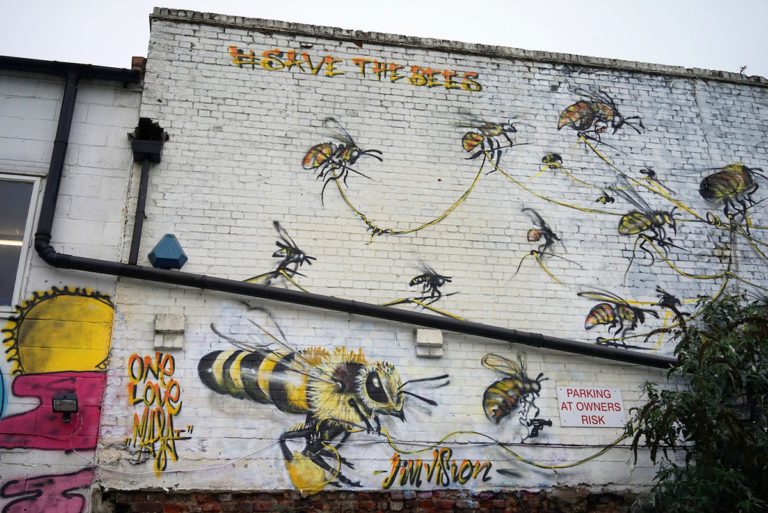 artist bees