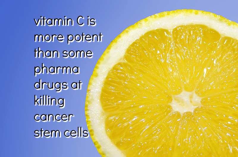 Image result for Vitamin C effective in targeting cancer stem cells