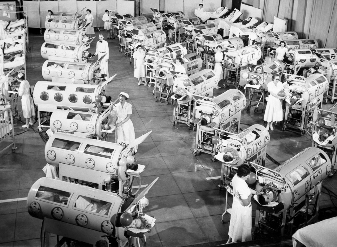 debunking vaccines eliminated disease myth
