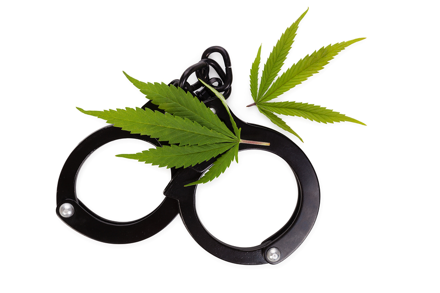 law enforcement marijuana
