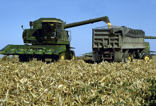 Subsidized Corn Destroying Global Bio-Diversity