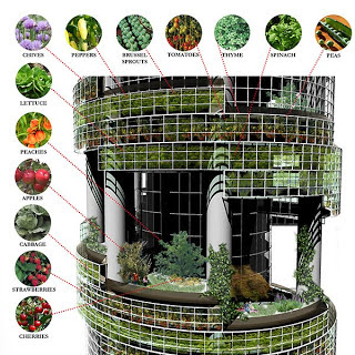 The Low-Cost Innovation of Vertical Farming
