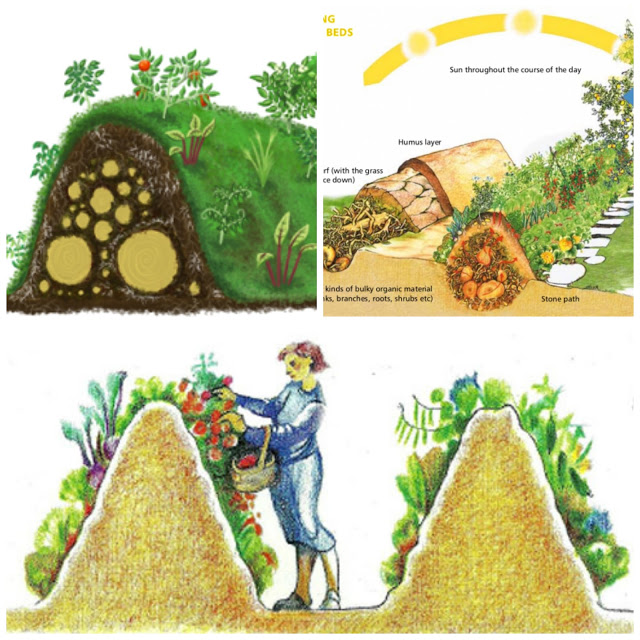 Hugelkultur: Natural Permaculture Gardening