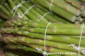 This Week’s Harvest: Asparagus