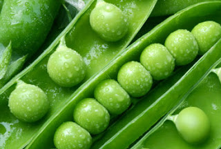 This Week’s Harvest: Green Peas