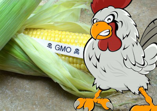 Top Ways To Flip Monsanto The Bird Daily