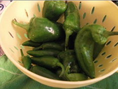This Week’s Harvest: Jalapenos