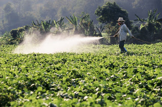 What do Pesticides, Herbicides and Antibiotics have in Common?