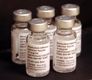 Evaluating Vaccine Risks