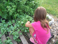 4-yr-old Rosie Will Have a Garden Next Spring via Property Management