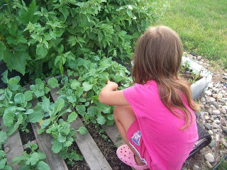 USDA Shuts Down 4-Year-Old’s Garden