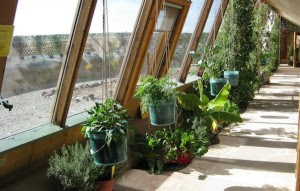 Earthship: Greenhouse of the Future