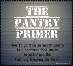 The Pantry Primer: How to Build a One-Year Food Supply in Three Months