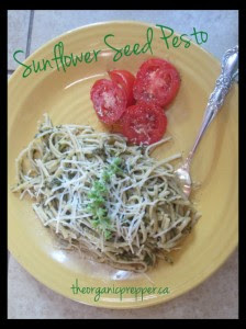 Recipe: Sunflower Seed Pesto