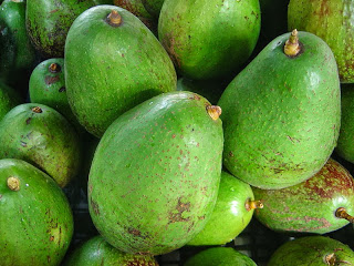 New research on potential avocado health benefits