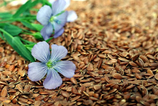 Can Flaxseed Prevent and Kill Breast Cancer?