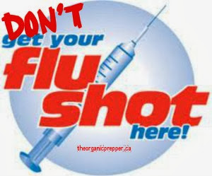 25 Safe Natural Alternatives to the Flu Shot