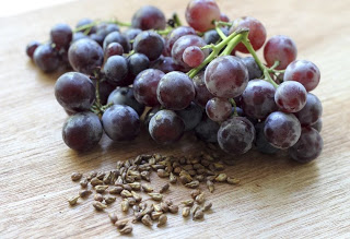 Grape Seed Extract Superior To Blockbuster Diabetes Drug, Preclinical Study Finds