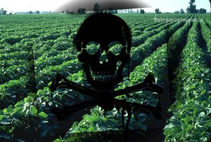 USDA Approves 2nd Generation GMOs That Can Withstand Even Deadlier Herbicide