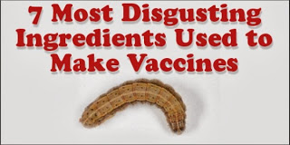 7 Most Disgusting Ingredients Used to Make Vaccines