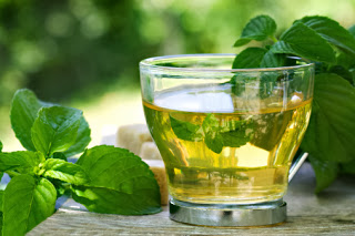 9 Reasons You Should Drink Green Tea