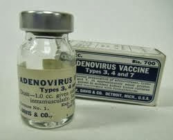 Adenovirus Vaccines: What Are They All About