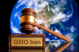 Total GMO Ban To Be Considered By Russia Within Weeks