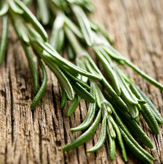 Rosemary Protects Against Macular Degeneration