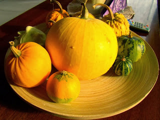 This Week’s Harvest: Pumpkins