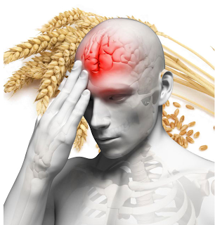 The Grain That Damages The Human Brain
