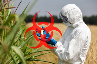 How Roundup Weedkiller Can Promote Cancer, New Study Reveals