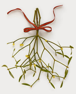 Mistletoe Extract Beats Chemotherapy Against Colon Cancer Cells