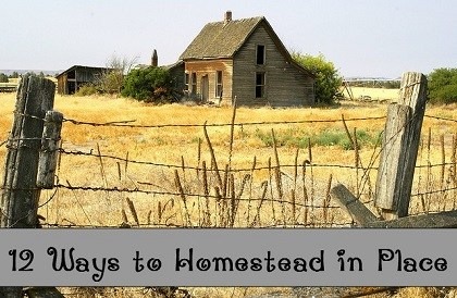 12 Ways to Homestead in Place