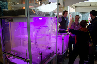 New High Tech GrowCubes Offer Indoor Gardening Solutions