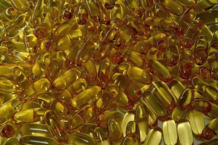 Fish Oil May Help Preserve Brain Cells