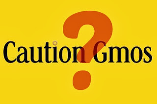 Mixed Reactions to Cheerios Dropping GMOs