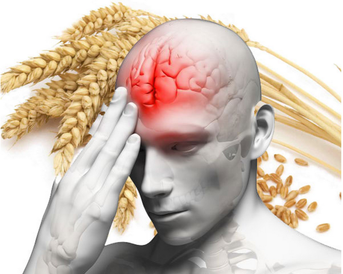 ‘Gluten Brain’: Wheat Cuts Off Blood Flow To Frontal Cortex
