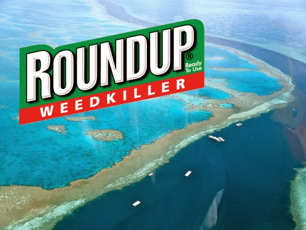 Roundup ‘Weed Killer’ Threatens Coral Reefs, Persists In Seawater