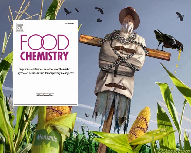 Roundup Accumulates in GMO Food, Proving Its Lack of Safety
