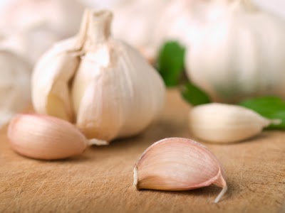 Garlic Substance Effective Against Even The Strongest Bacteria