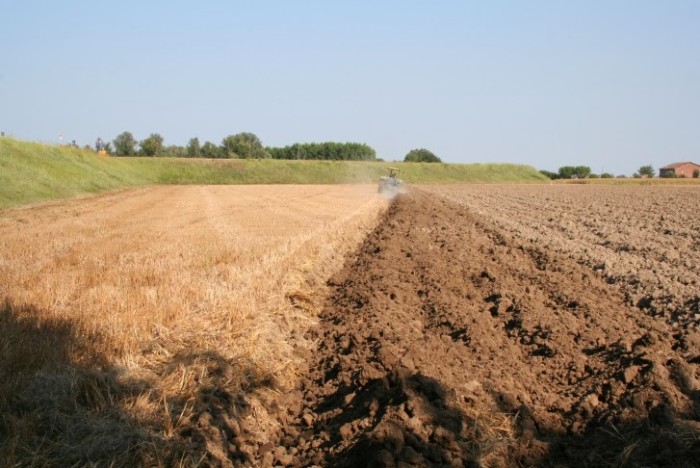 Worldwide study finds that fertilizer destabilizes grasslands