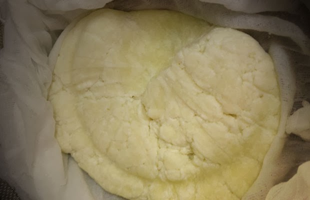Easy to Make Raw Milk Cheese