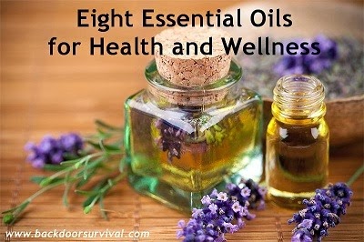 Eight Essential Oils for Health and Wellness